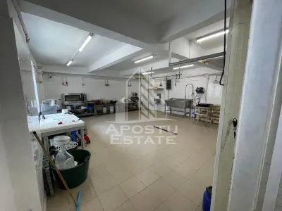 Spațiu comercial Timișoara - poza 1