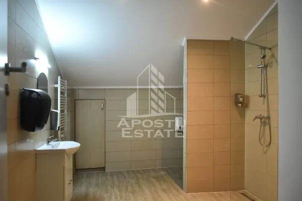 Spațiu comercial Timișoara - poza 6