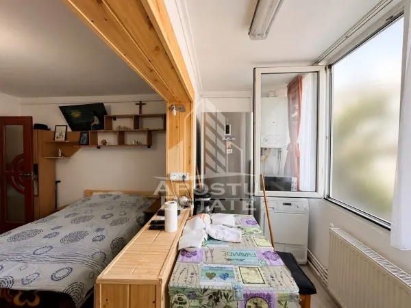 Apartament 1 camera Timișoara - poza 4