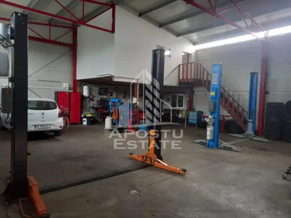 Spațiu industrial Giroc - poza 5