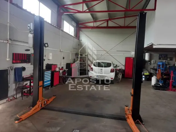 Spațiu industrial Giroc - poza 7