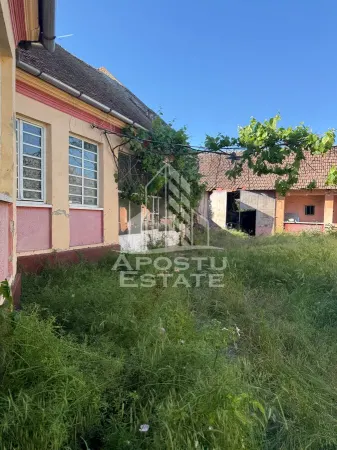 Casă 4 camere Sustra - poza 13