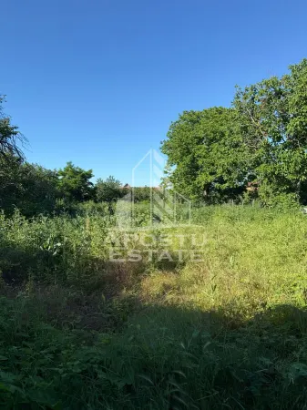 Casă 4 camere Sustra - poza 14