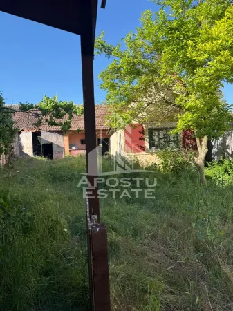 Casă 4 camere Sustra - poza 15