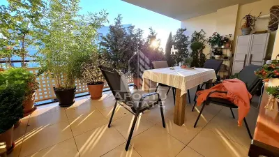 Apartament 3 camere Timișoara - poza 6