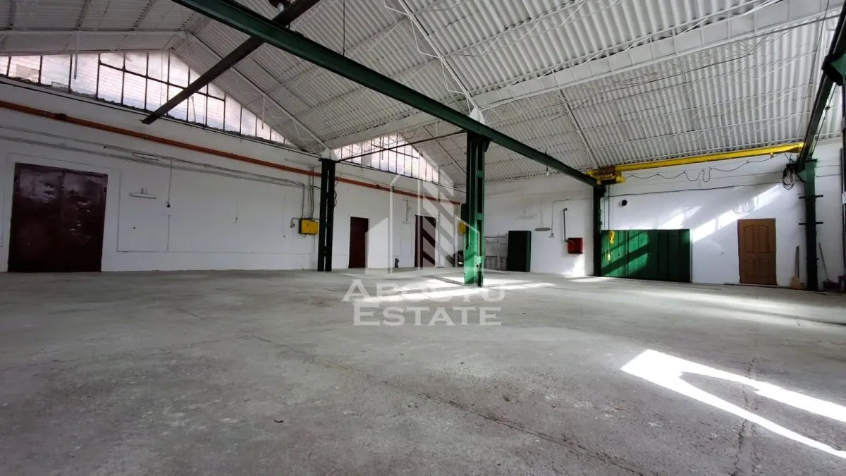 Spațiu industrial Arad - poza 1