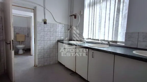 Spațiu industrial Arad - poza 13