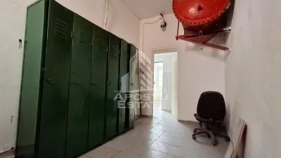Spațiu industrial Arad - poza 14
