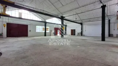 Spațiu industrial Arad - poza 3