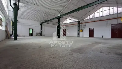 Spațiu industrial Arad - poza 4