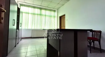 Spațiu industrial Arad - poza 8