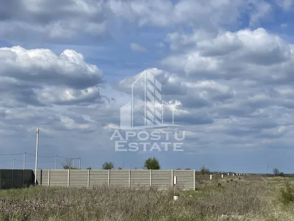Teren Moșnița Nouă - poza 1