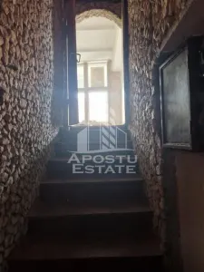Spațiu comercial Arad - poza 19