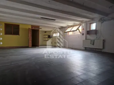 Spațiu comercial Arad - poza 22