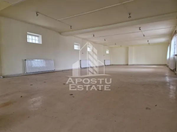 Spațiu comercial Arad - poza 7