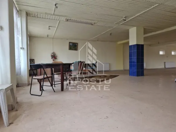 Spațiu comercial Arad - poza 8