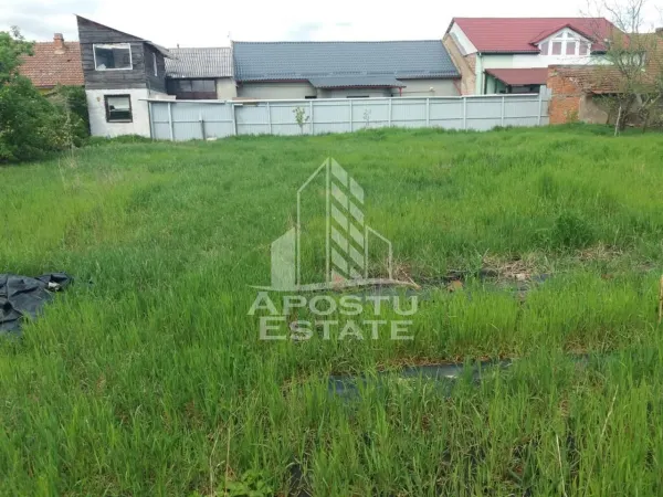Casă 4 camere Arad - poza 10
