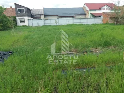 Casă 4 camere Arad - poza 10