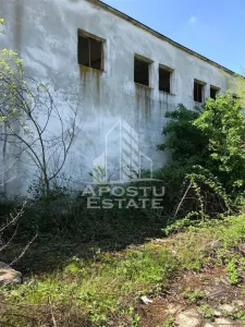 Teren Vladimirescu - poza 5