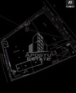 Birou Arad - poza 9