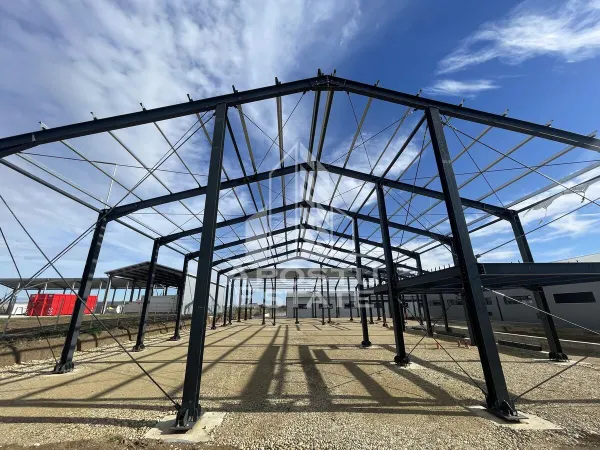 Spațiu industrial Giarmata - poza 4