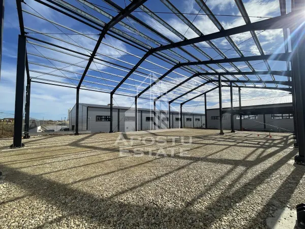 Spațiu industrial Giarmata - poza 8