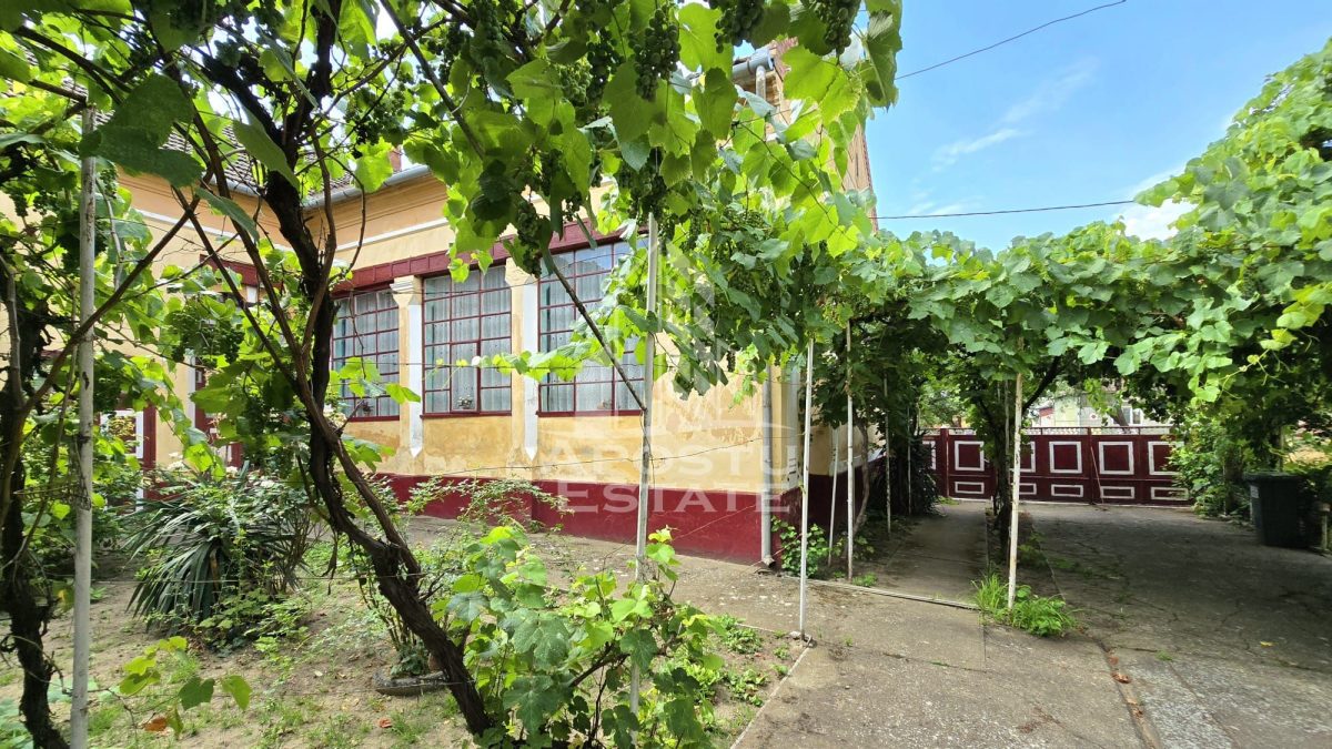 Casă 8 camere Sandra - poza 19