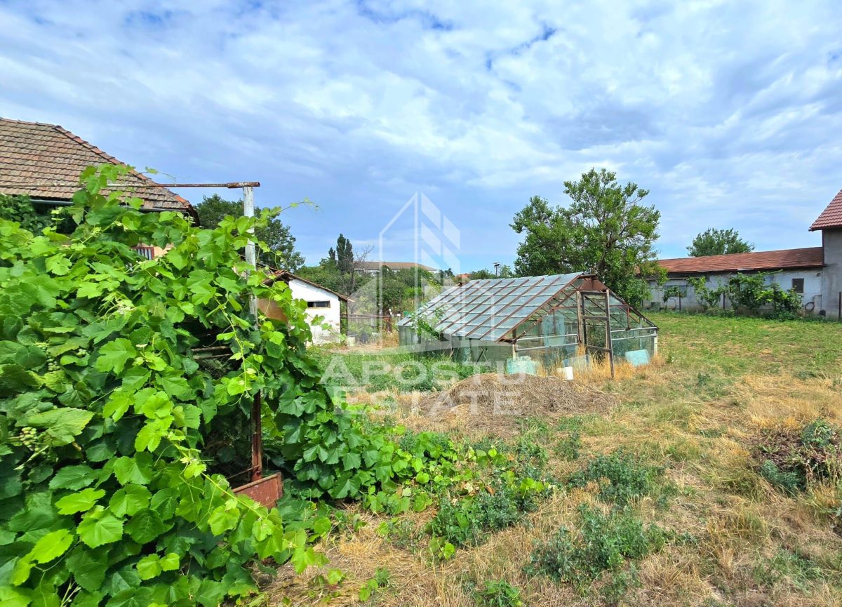 Casă 8 camere Sandra - poza 22