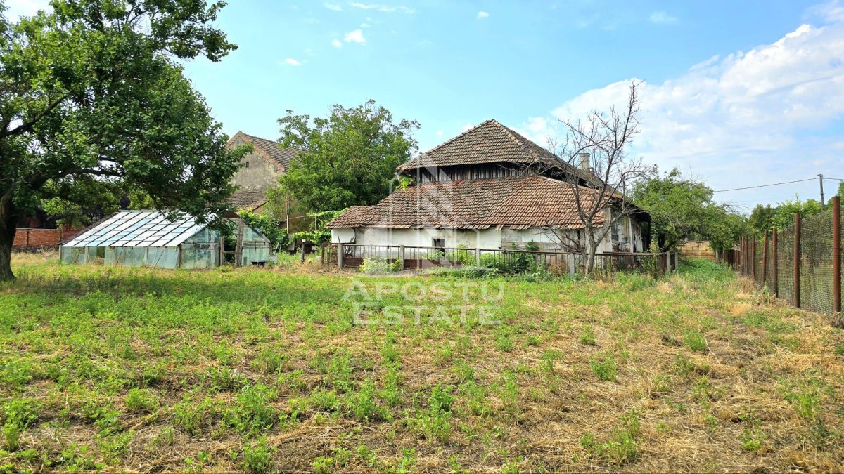 Casă 8 camere Sandra - poza 24