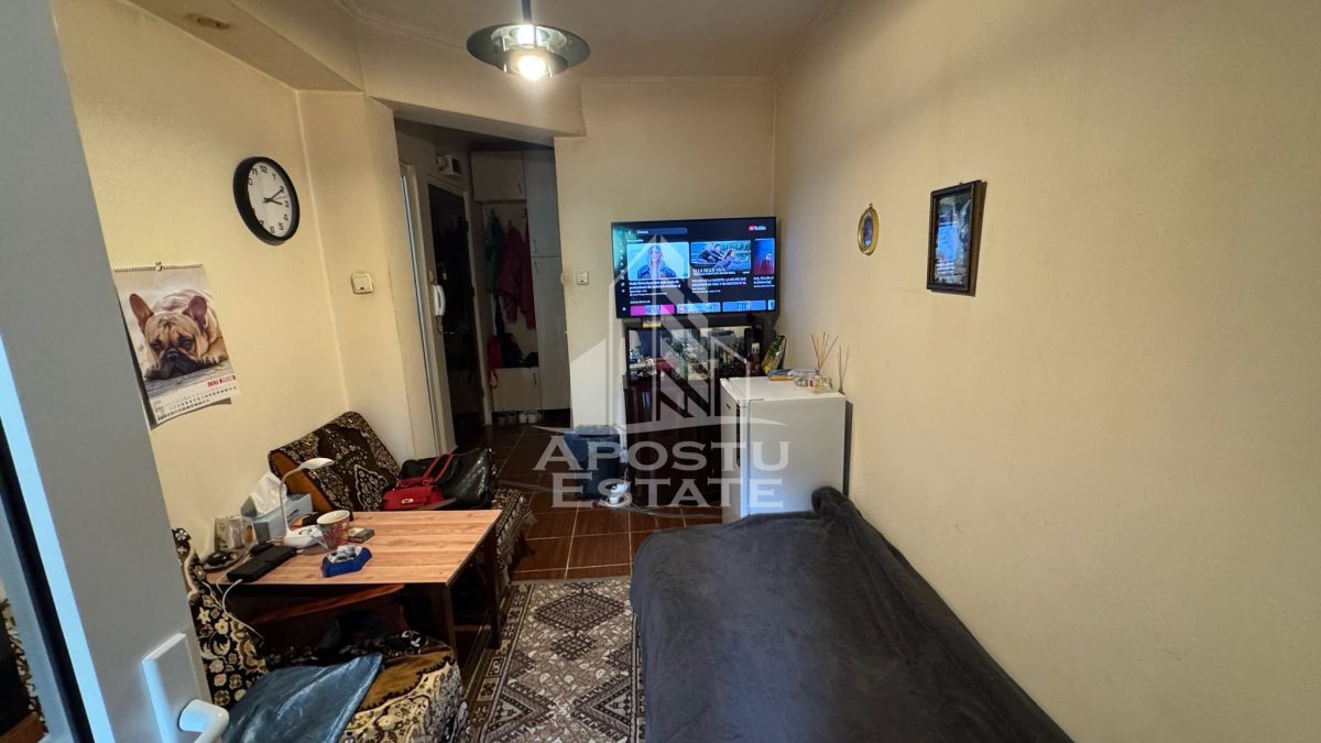 Apartament 2 camere Timișoara - poza 2