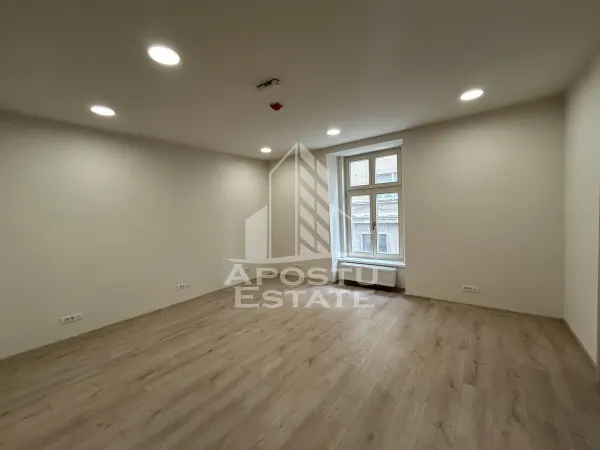Birou Timișoara - poza 2