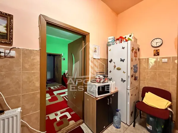Apartament 2 camere Timișoara - poza 2