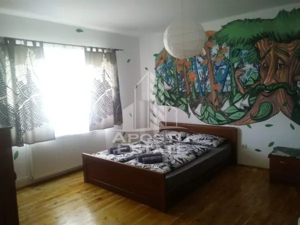 Casă 8 camere Eselnita - poza 16