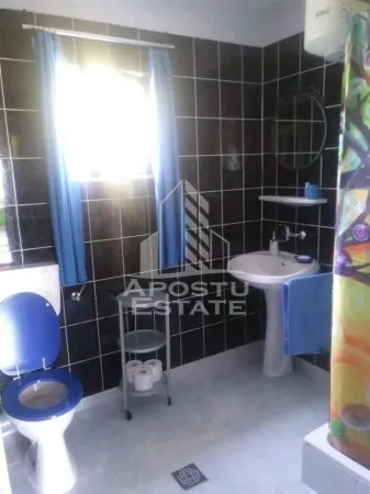 Casă 8 camere Eselnita - poza 19