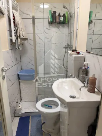 Casă 7 camere Timișoara - poza 11