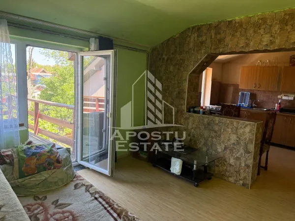 Casă 7 camere Timișoara - poza 3