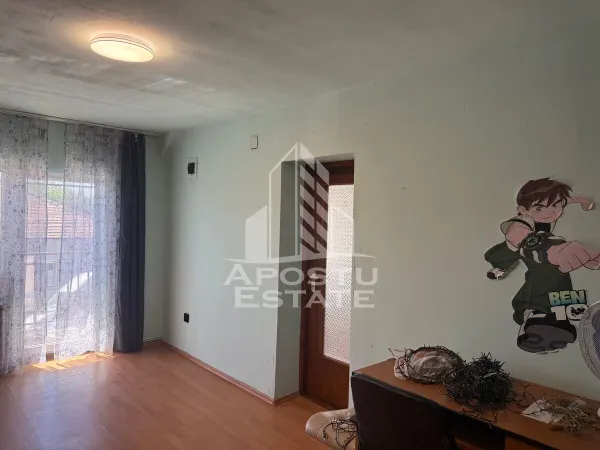 Casă 7 camere Timișoara - poza 8