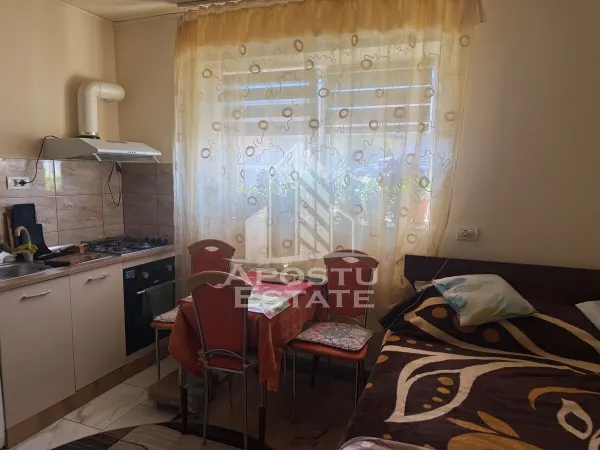 Casă 7 camere Timișoara - poza 9