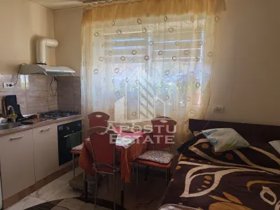 Casă 7 camere Timișoara - poza 9