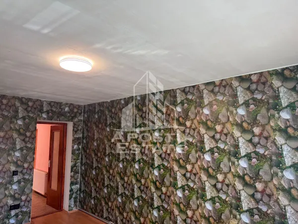 Casă 7 camere Timișoara - poza 10