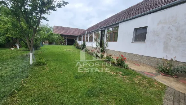 Casă 6 camere Pischia - poza 14