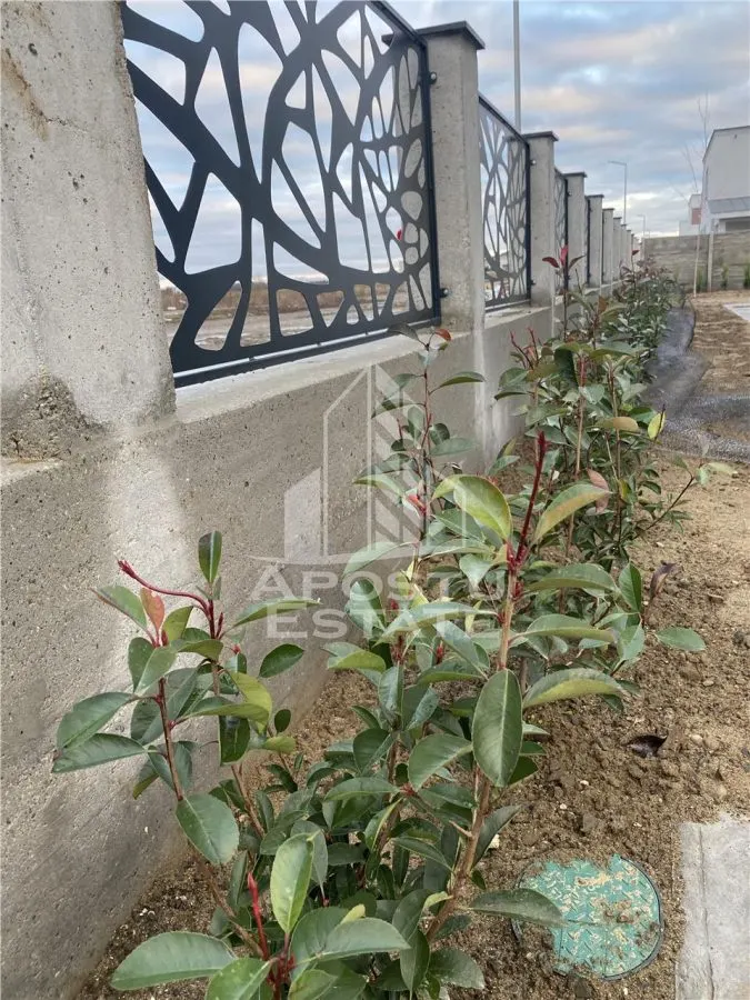 Casă 4 camere Bucovat (Remetea Mare) - poza 1