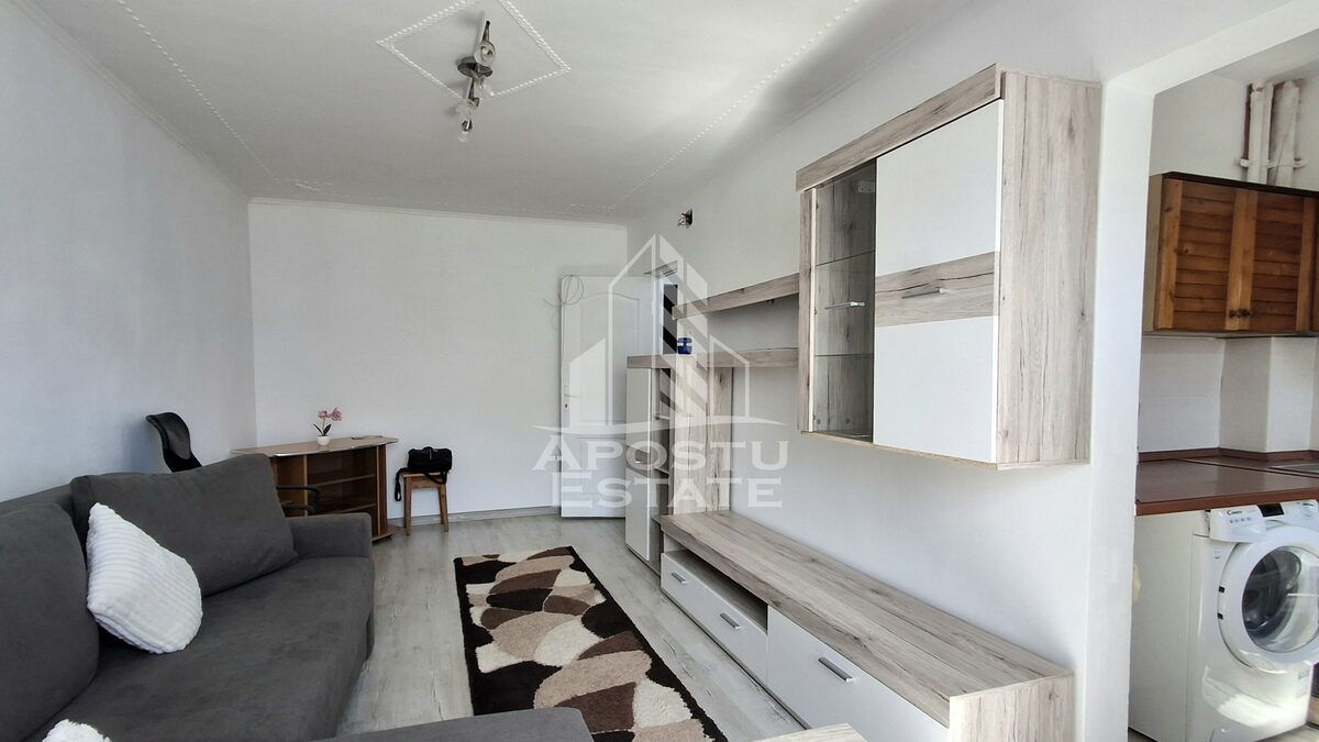Apartament 1 camera Arad - poza 1