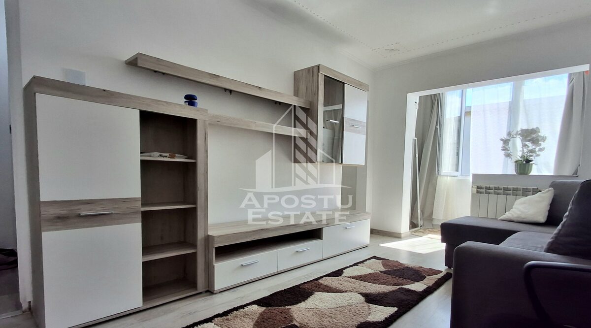 Apartament 1 camera Arad - poza 2