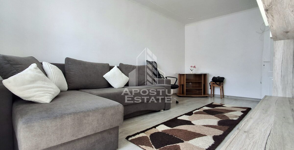 Apartament 1 camera Arad - poza 3