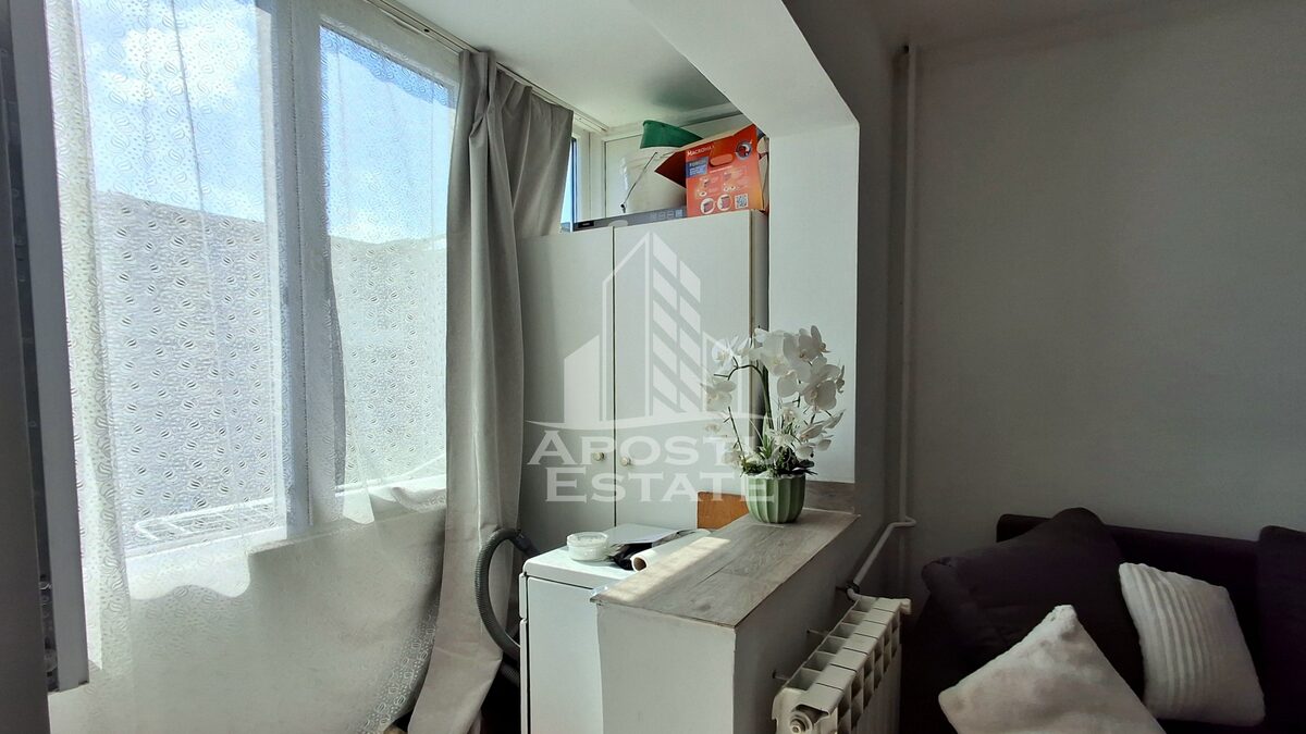 Apartament 1 camera Arad - poza 4