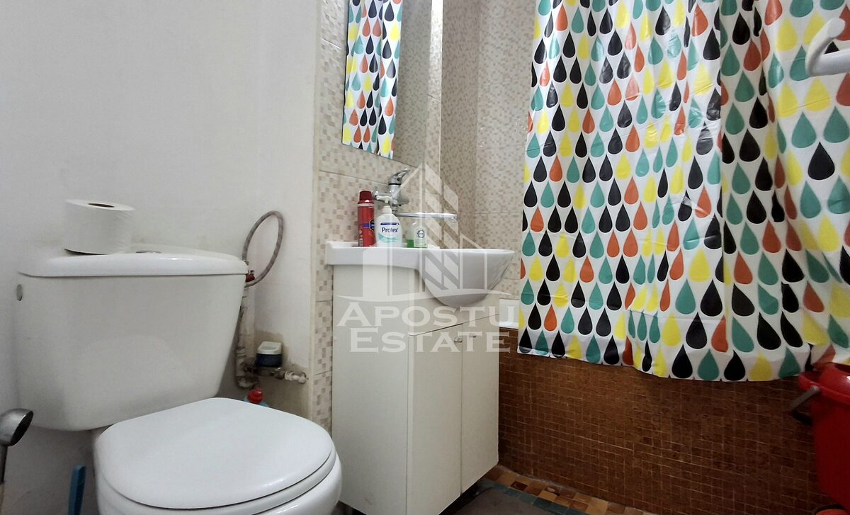 Apartament 1 camera Arad - poza 7