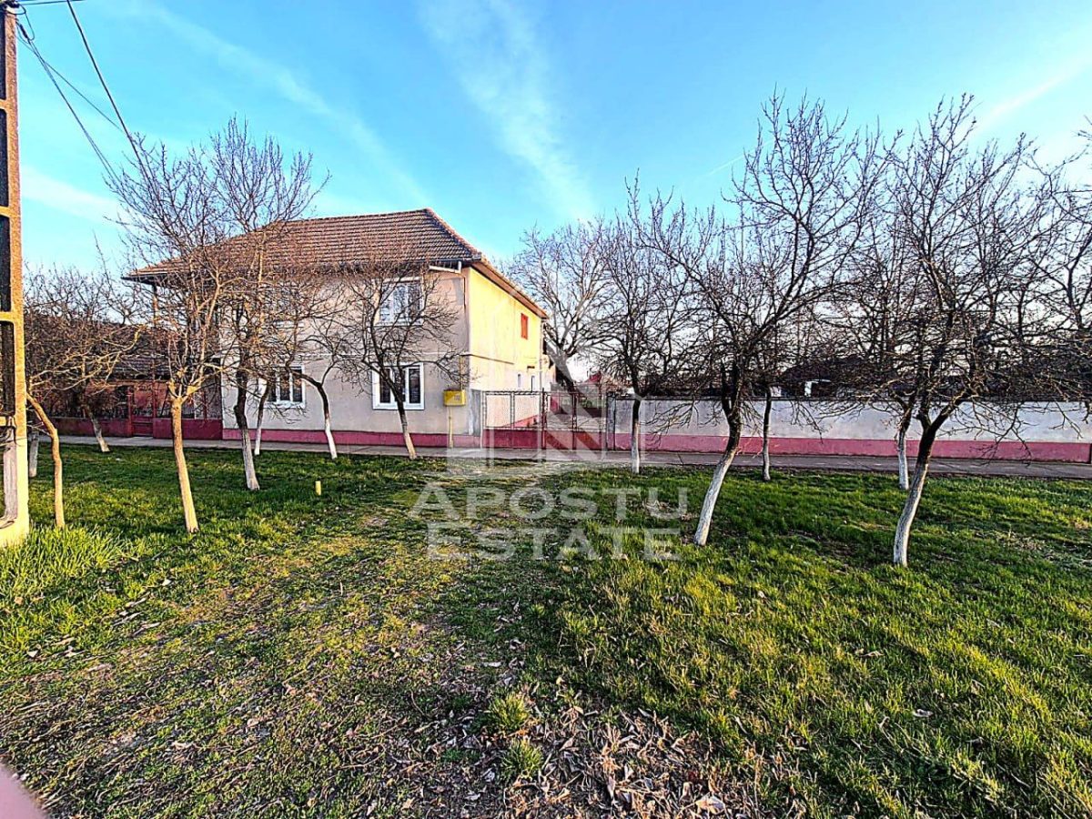 Casă 9 camere Satchinez - poza 1