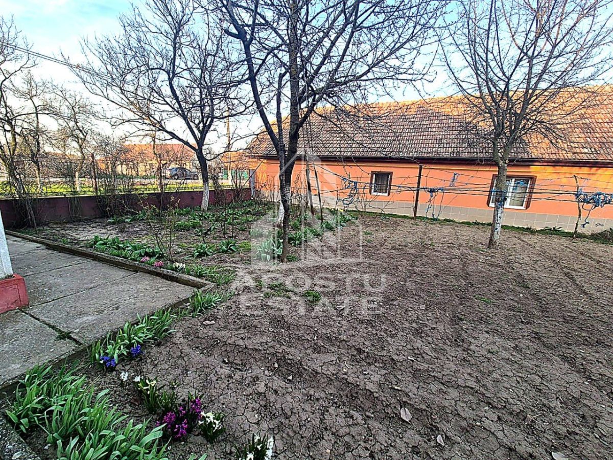 Casă 9 camere Satchinez - poza 2