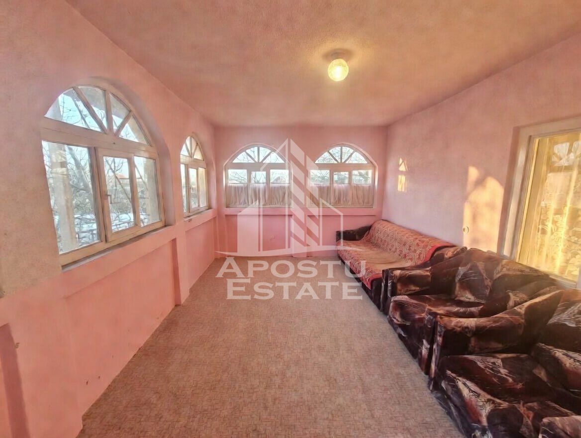Casă 9 camere Satchinez - poza 12